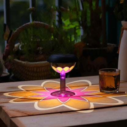 FestivaLite Solar Garden & Home Lamp